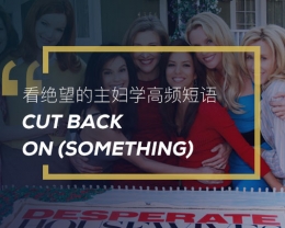 看绝望的主妇学英语高频短语：Cut back on (something)