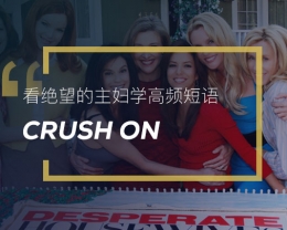 看绝望的主妇学英语高频短语：Crush on
