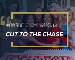 看绝望的主妇学高频短语：Cut to the chase
