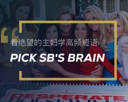 看绝望的主妇学高频短语: Pick sb’s brain