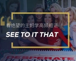 看绝望的主妇学高频短语: See to it that