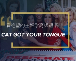 看绝望的主妇学英语习语：Cat Got Your Tongue