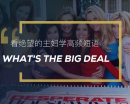 看绝望的主妇学英语习语：What’s the big deal？