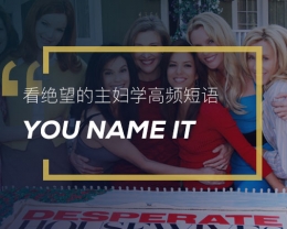看绝望的主妇学高频短语：You name it