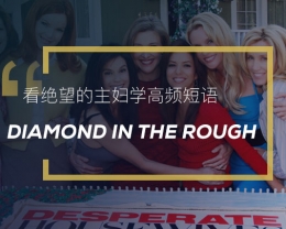 看绝望的主妇学高频短语：Diamond in the rough