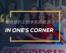 看绝望的主妇学高频短语：In one’s corner