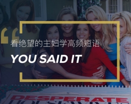 看绝望的主妇学高频短语：You said it!