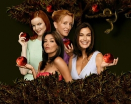 绝望的主妇第一季第一集句型结构及写作模板