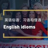 关于对英语俗语、习语和俚语的研究
