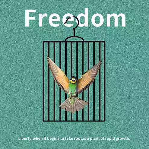 Pass the bulk - freedom