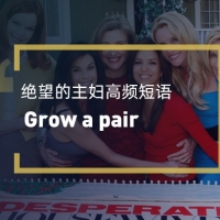 看绝望的主妇学高频短语：Grow a pair