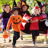 绝望的主妇第二季第一集片段精讲