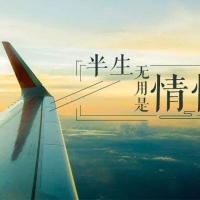 浅谈“情怀”的几种英语翻译及表达