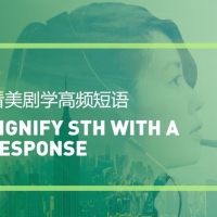 看美剧学高频短语：Dignify sth with a response