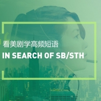 看美剧学高频短语：In search of sb/sth