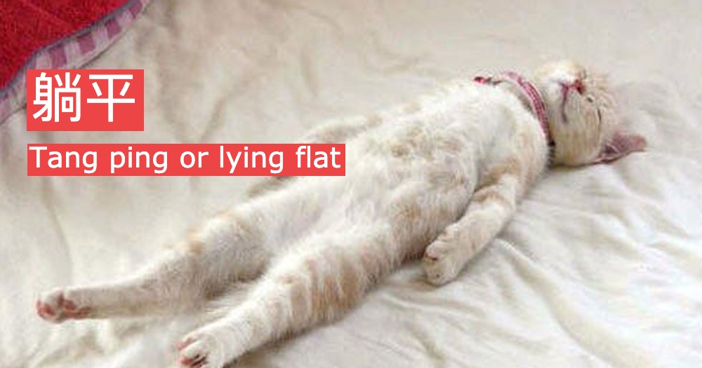 躺平:Lying Flat
