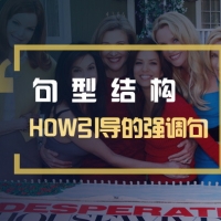 强调句：How+形容词+冠词+名词结构