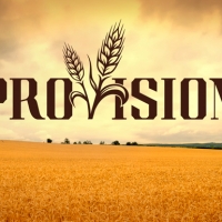 看美剧学英语必备商务词汇：Provision