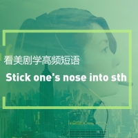 看美剧学高频短语：stick one’s nose into sth