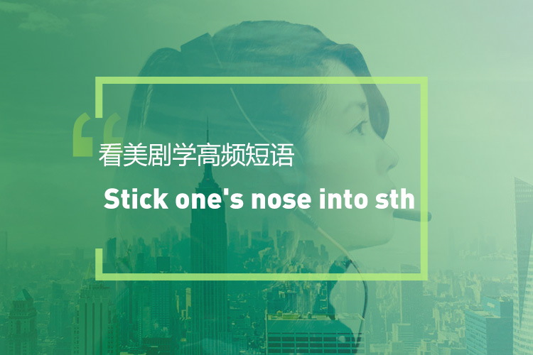 看美剧学实用短语：Stick one's nose into sth
