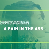 看绝望的主妇学高频短语：A pain in the ass