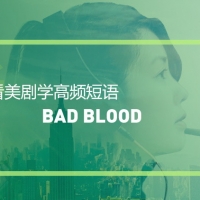 看美剧学地道实用英语表达：Bad blood