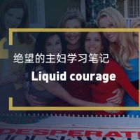 绝望的主妇学习笔记：Liqid courage