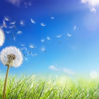 我不知道风往哪一个方向吹