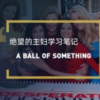 看绝望的主妇学英语：A ball of sth