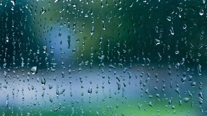 Kiss the Rain:雨的印记