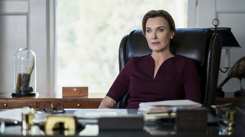 绝望的主妇：Mary Alice Young