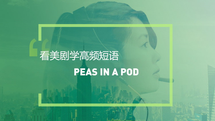 看美剧学英语地道口语表达：Peas in a pod