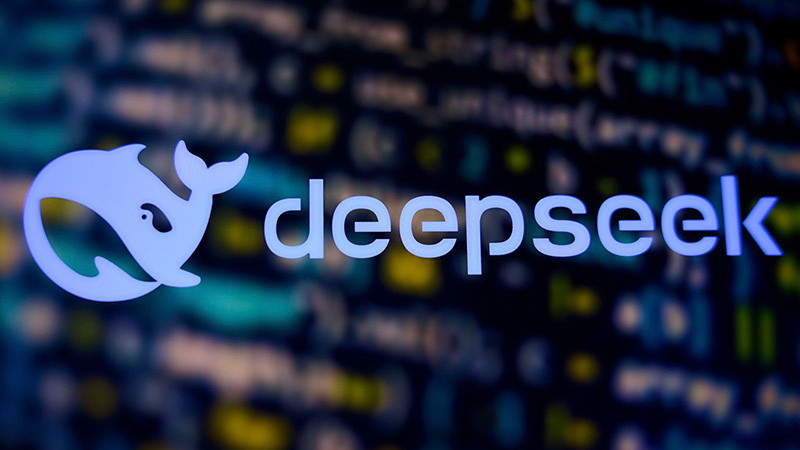 针对Deepseek 提问的相关文本整理