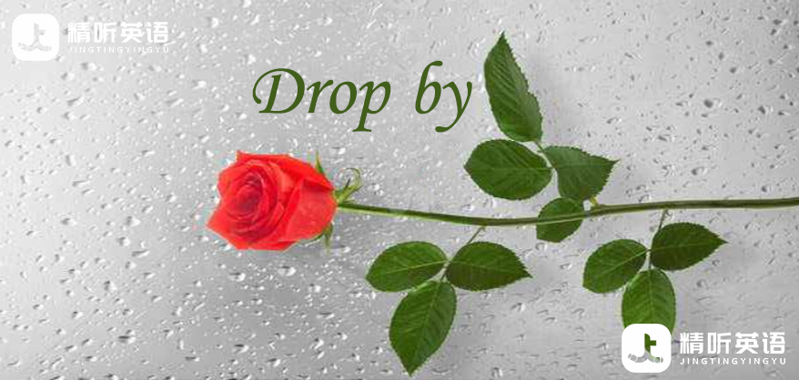 看绝望的主妇学高频短语：Drop by