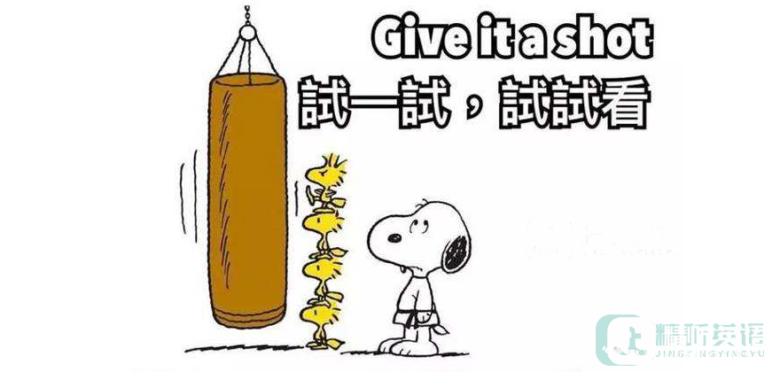 看绝望的主妇学高频短语：Give it a shot